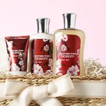 Bath & Body Works:  $10 off $30 Coupon