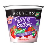 Breyer's Coupons Reset
