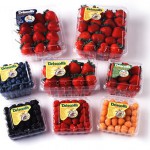 Driscoll's Fruit Printable Coupon