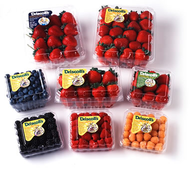 Coupon for Driscolls Berries for Freebies