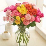1-800 Flowers:  50 Spray Roses only $21.24 Delivered!