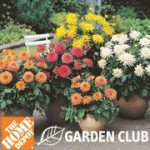 Home Depot Coupons | Sign Up For Home Depot Garden Club