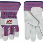 Free Leather Palm Gloves from Ace Hardware