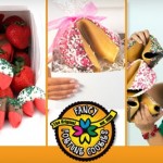 Groupon: $15 for $35 Worth of Wise Desserts at Fancy Fortune Cookies (Online Deal)