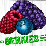 Publix:  Free Blueberries!