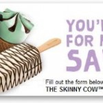 Skinny Cow Deal at Publix