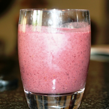 Blueberry Spinach Smoothie - Faithful Provisions