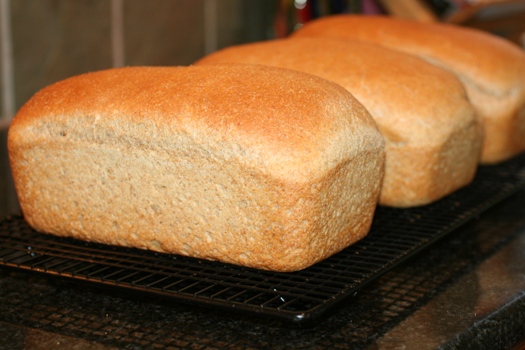 https://faithfulprovisions.com/wp-content/uploads/2010/08/Homemade-Whole-Wheat-Bread.jpg