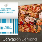 Canvas on Demand:  $45 for a $126.95 Gift Card