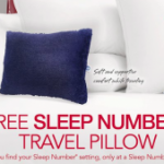 Free Sleep Number Travel Pillow