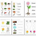 Free Garden Preschool Pack Download