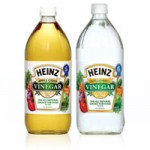 Heinz Vinegar Printable Coupon (for Easter)