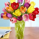 $15 for $30 Voucher to ProFlowers