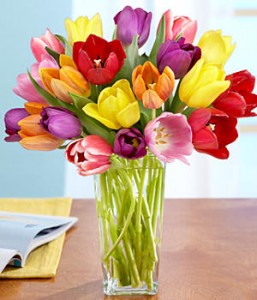 $15 for $30 Voucher to ProFlowers