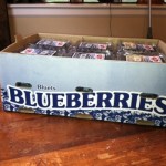 Organic Blueberries Only $1.99 at Whole Foods