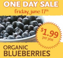 Whole-Foods-Organic-Blueberries-219x200