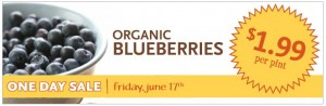 Whole Foods: Organic Blueberries $1.99 per Pint (Today Only)