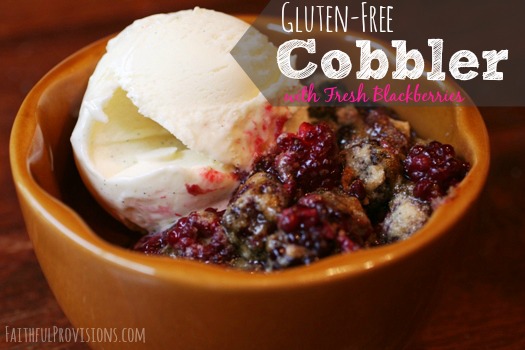 Easy Fruit Cobbler Recipe | Faithful Provisions