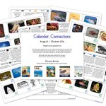 FREE Download: Ocean Life Calendar Connection Cards