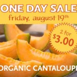 Organic Cantaloupes For $1.50