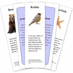 FREE Animal Classification Cards