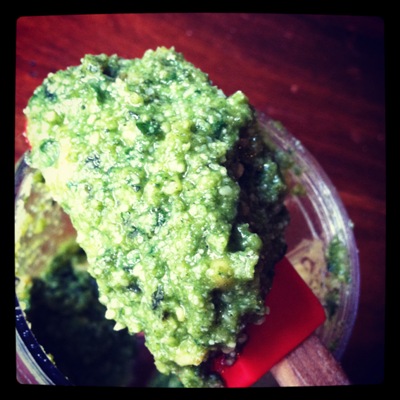 Basil Pesto Recipe