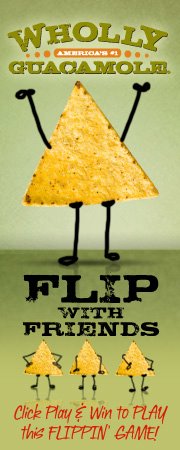 flip-the-chip