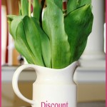 Discount Mother’s Day Flowers