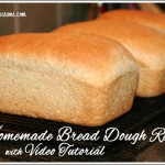 How to Make Homemade Bread Dough (for Pizza, Cinnamon Rolls, etc)