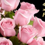 $20 for $40 Worth of Flowers and Gifts Delivered From FTD