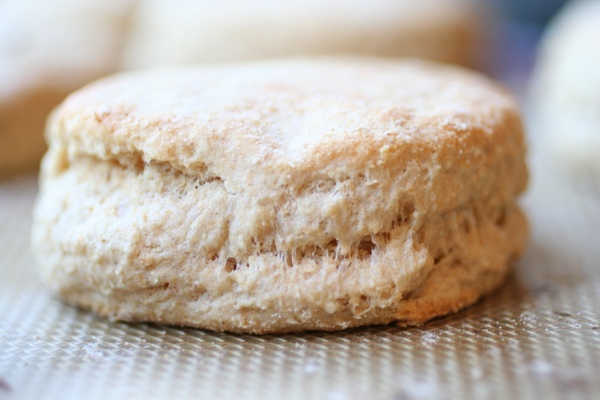 Whole-Wheat-Biscuit-Recipe