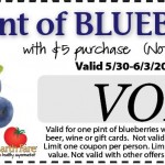 FREE Blueberries (With Printable Coupon)