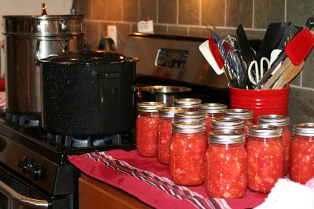 Tomatoes Processing