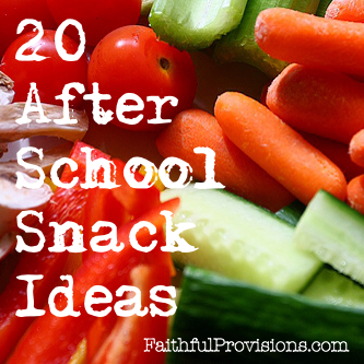 20 After School Snacks from FaithfulProvisions.com