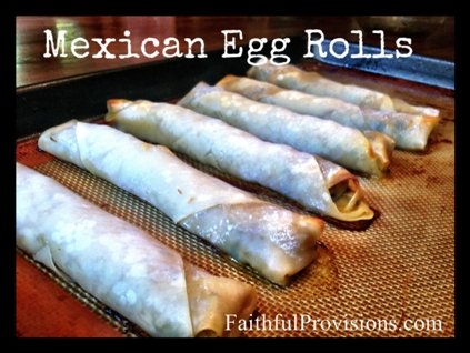 Mexican Egg Rolls