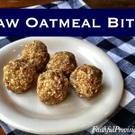 Raw Oatmeal Bites