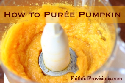 How to Puree Soup in a Blender - Faithful Provisions