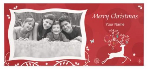 50 Custome Holiday Cards from Vistaprint