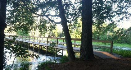 PIne Cove Grounds