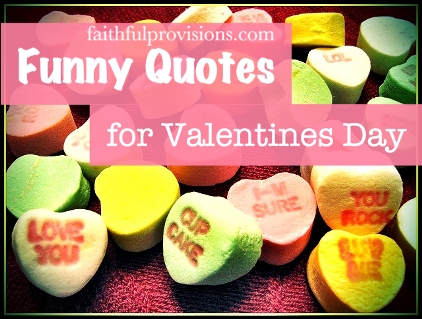 Funny Valentine's Quotes - Faithful Provisions