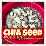 Chia Seed Pudding Recipe