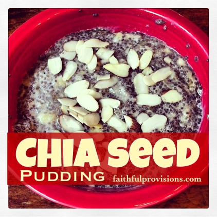 Chia Seed Pudding