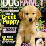 Discount Magazines: Taste of Home, Bon Appetit, Elle, Ebony, Dog Fancy, US Weekly