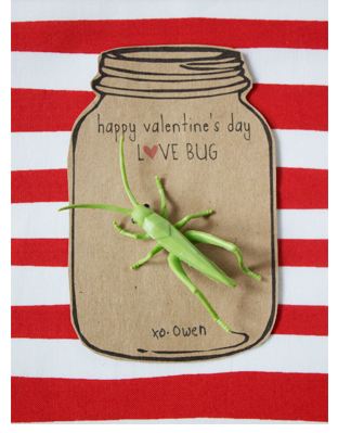 Love Bug Valentines