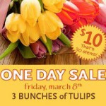 Whole Foods: 3 Bunches of Tulips Only $10 (Today Only)