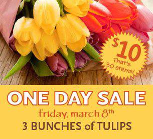 whole-foods-one-day-sale-tulips