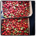 May is National Strawberry Month