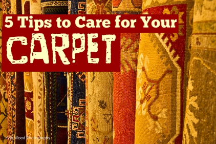 5 Tips to Care for Your Carpet
