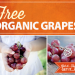 Free Organic Grapes