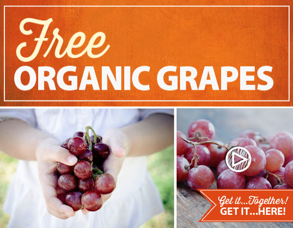 free-organic-grapes-at-earth-fare